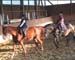 Clip0006