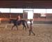 Clip0016