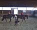 Clip0021